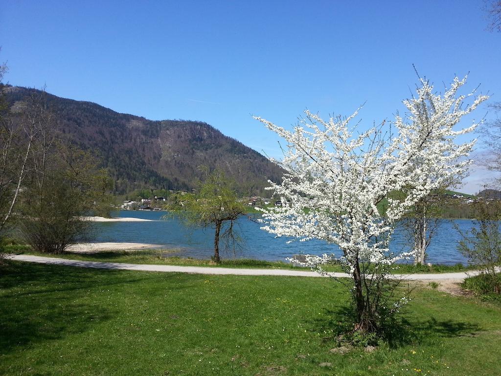 Buchauer-Tirol / Landhaus Buchauer Thiersee Buitenkant foto